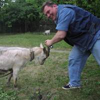 ����� ����